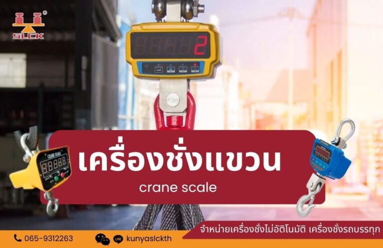 เครื่องชั่งแขวน Crane Scale