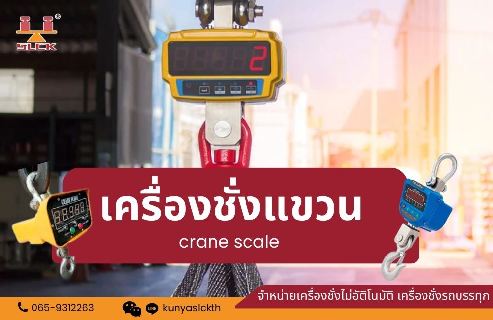 เครื่องชั่งแขวน Crane Scale